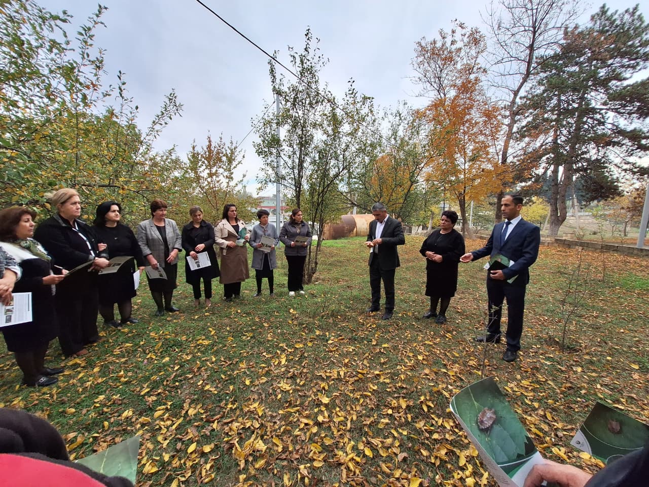 Dağ Kəsəmən (2).jpeg