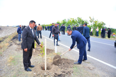 Ağstafada Anım Günü ilə əlaqədar şəhidlərimizin əziz xatirəsinə həsr olunmuş ağacəkmə aksiyası təşkil olunub