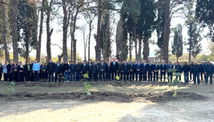Ağstafada 8 Noyabr – Zəfər Gününün beşinci ildönümünə həsr olunmuş “Vətən nəfəsi” adlı ağacəkmə aksiyaları təşkil olunub
