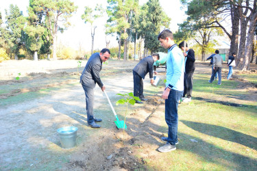 Ağstafada 8 Noyabr – Zəfər Gününün beşinci ildönümünə həsr olunmuş “Vətən nəfəsi” adlı ağacəkmə aksiyaları təşkil olunub