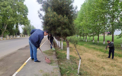 Ağstafa rayonunda növbəti ümumrayon iməcliyi keçirilib