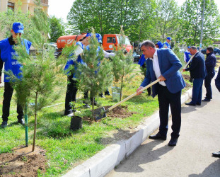 Ölkəmizdə 2024-cü ilin “Yaşıl dünya naminə həmrəylik ili” çəçrivəsində Ağstafada növbəti ağacəkmə aksiyası keçirilib