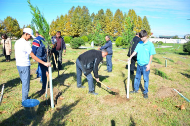 Ağstafalı şəhid valideynləri də “Yaşıl dünya naminə həmrəylik ili” çərçivəsində keçirilən ağacəkmə aksiyalarına öz töhfələrini veriblər