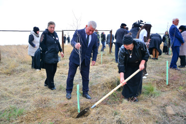 Ağstafada 8 Noyabr – Zəfər Gününün beşinci ildönümünə həsr olunmuş Zəfər yürüşü keçirilib