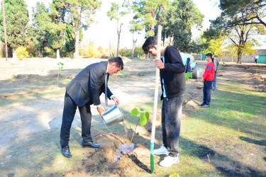 Ağstafada 8 Noyabr – Zəfər Gününün beşinci ildönümünə həsr olunmuş “Vətən nəfəsi” adlı ağacəkmə aksiyaları təşkil olunub