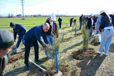 Ağstafada “Şəhərsalma və Memarlıq İli”nə həsr olunmuş genişmiqyaslı ağacəkmə aksiyası keçirilib