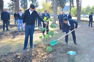 Ağstafada 8 Noyabr – Zəfər Gününün beşinci ildönümünə həsr olunmuş “Vətən nəfəsi” adlı ağacəkmə aksiyaları təşkil olunub