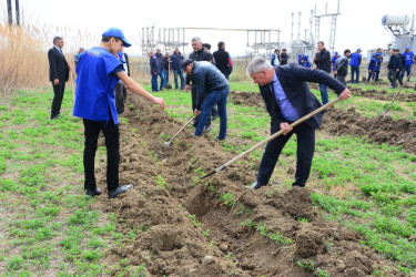 “Heydər Əliyev İli” çərçivəsində Ağstafada növbəti ağacəkmə aksiyası keçirilib