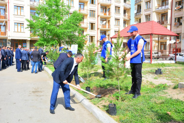 Ölkəmizdə 2024-cü ilin “Yaşıl dünya naminə həmrəylik ili” çəçrivəsində Ağstafada növbəti ağacəkmə aksiyası keçirilib