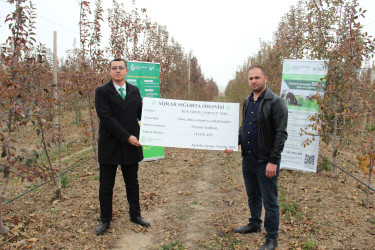 Meyvə bağlarının aqrar sığorta mövsümü başlayır