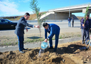 Ağstafada “Yaşıl dünya naminə həmrəylik ili” çərçivəsində keçirilən aksiyada rayonun aqrar sahəsində fəaliyyət göstərən strukturlar da iştirak edib