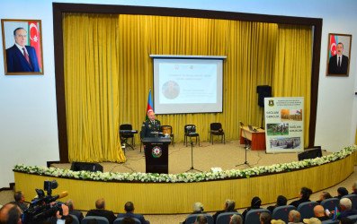 Ağstafada “Vətənpərvər Azərbaycan gəncliyi – Sağlam gənclik, sağlam gələcək” mövzusunda görüş keçirilib