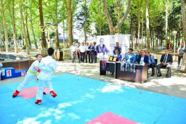 Ağstafada Ulu Öndər Heydər Əliyevin Azərbaycanda  ilk dəfə siyasi hakimiyyətə  gəlməsi gününə həsr olunmuş karate üzrə uşaq və yeniyetmələr arasında birincilik keçirilib