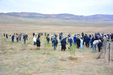 Ağstafada 8 Noyabr – Zəfər Gününün beşinci ildönümünə həsr olunmuş Zəfər yürüşü keçirilib