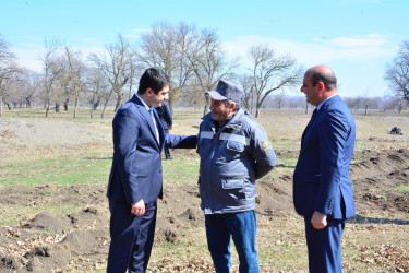 Ağstafada Ulu Öndər Heydər Əliyevin 100 illik yubileyi ilə əlaqədar ağacəkmə aksiyası təşkil olunub