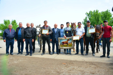 Ağstafada 28 May Müstəqillik Gününə həsr olunmuş yorğa atların yarışı üzrə regional birincilik keçirilib