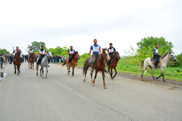 Ağstafada 28 May Müstəqillik Gününə həsr olunmuş yorğa atların yarışı üzrə regional birincilik keçirilib