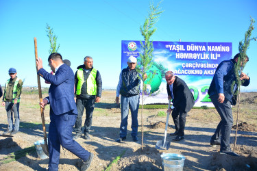 “27 № li Yol İstismarı” Məhdud Məsuliyyətli Cəmiyyətin əmək kollektivi ağacəkmə aksiyasında böyük səylə iştirak edib