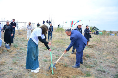 Ağstafada 8 Noyabr – Zəfər Gününün beşinci ildönümünə həsr olunmuş Zəfər yürüşü keçirilib