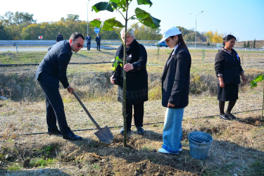 Ağstafada 8 Noyabr – Zəfər Gününün beşinci ildönümünə həsr olunmuş “Vətən nəfəsi” adlı ağacəkmə aksiyaları təşkil olunub