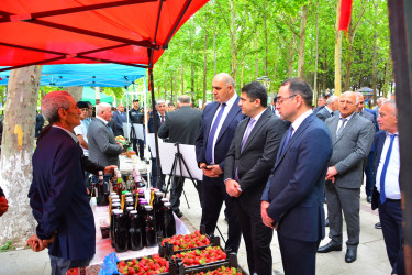 Ağstafada  Məhsul bayramı keçirilib