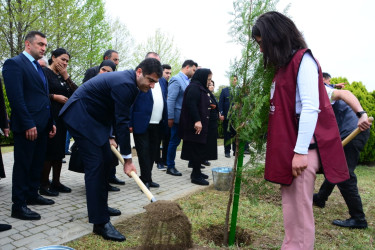 Ölkəmizdə 25-ci “Vətən Bağı” Ağstafa rayonunda salındı.