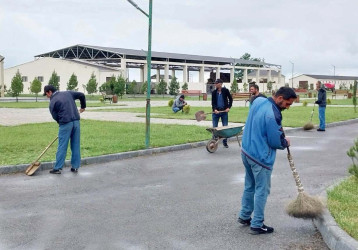 Ağstafa rayonunda növbəti ümumrayon iməcliyi keçirilib