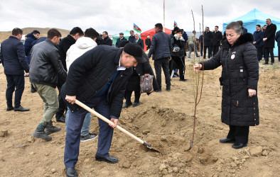 Ağstafada “Şəhərsalma və Memarlıq İli” çərçivəsində növbəti ağacəkmə aksiyası “Keşikçidağ” Dövlət tarix-mədəniyyət qoruğunun ərazisində təşkil olunub