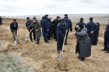 Ağstafada “Şəhərsalma və Memarlıq İli” çərçivəsində növbəti ağacəkmə aksiyası “Keşikçidağ” Dövlət tarix-mədəniyyət qoruğunun ərazisində təşkil olunub