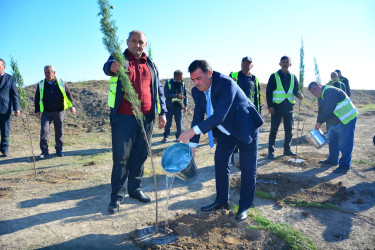 “27 № li Yol İstismarı” Məhdud Məsuliyyətli Cəmiyyətin əmək kollektivi ağacəkmə aksiyasında böyük səylə iştirak edib