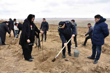 Ağstafada “Şəhərsalma və Memarlıq İli” çərçivəsində növbəti ağacəkmə aksiyası “Keşikçidağ” Dövlət tarix-mədəniyyət qoruğunun ərazisində təşkil olunub