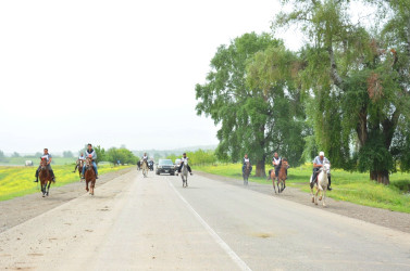 Ağstafada 28 May Müstəqillik Gününə həsr olunmuş yorğa atların yarışı üzrə regional birincilik keçirilib