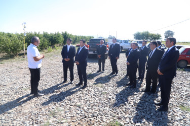 Ağstafada 2026-2030-cu illər üçün Dövlət Proqramının icrası ilə bağlı aqroparklarda və iri fermer təsərrüfatlarında monitorinq keçirilmişdir