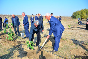 Ağstafada 8 Noyabr – Zəfər Gününün beşinci ildönümünə həsr olunmuş “Vətən nəfəsi” adlı ağacəkmə aksiyaları təşkil olunub
