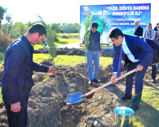 Ağstafalı təhsil işçiləri də “Yaşıl dünya naminə həmrəylik ili” çərçivəsində keçirilən ağacəkmə aksiyasında fəallıq nümayiş etdiriblər