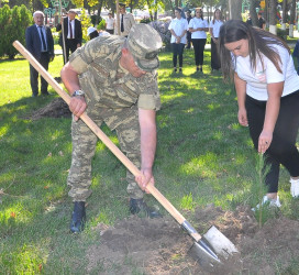 Şəhidlərimizin xatirəsinə ehtiram əlaməti olaraq Ağstafada ağacəkmə aksiyası keçirilib