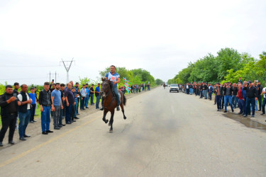 Ağstafada 28 May Müstəqillik Gününə həsr olunmuş yorğa atların yarışı üzrə regional birincilik keçirilib