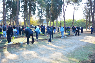 Ağstafada 8 Noyabr – Zəfər Gününün beşinci ildönümünə həsr olunmuş “Vətən nəfəsi” adlı ağacəkmə aksiyaları təşkil olunub