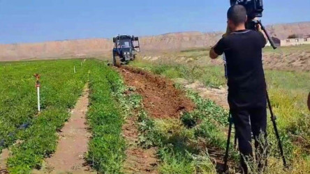 Ağstafa rayonunda torpaqlardan təyinatı üzrə istifadə olunmasına dair monitorinqlər davam etdirilir