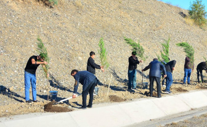 "Yaşıl dünya naminə həmrəylik ili" çərçivəsində növbəti ağacəkmə aksiyaslyaları keçirilib