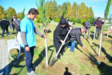 Ağstafalı şəhid valideynləri də “Yaşıl dünya naminə həmrəylik ili” çərçivəsində keçirilən ağacəkmə aksiyalarına öz töhfələrini veriblər