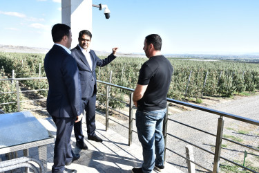 Ağstafada 2026-2030-cu illər üçün Dövlət Proqramının icrası ilə bağlı aqroparklarda və iri fermer təsərrüfatlarında monitorinq keçirilmişdir