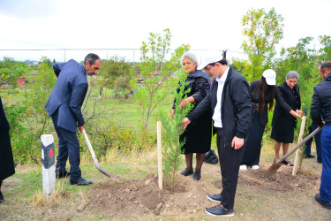 Ağstafada Anım Günü ilə əlaqədar şəhidlərimizin əziz xatirəsinə həsr olunmuş ağacəkmə aksiyası təşkil olunub