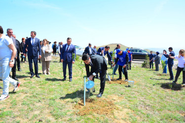 18 Aprel - Beynəlxalq Abidələr və Tarixi Yerlər Günü “Keşikçidağ” Dövlət tarix-mədəniyyət qoruğunda qeyd olunub və Ölkəmizdə 2024-cü ilin “Yaşıl dünya naminə həmrəylik ili” çərçivəsində qoruğ ərazisində ağacəkmə aksiyası keçirilib