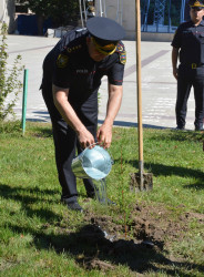 Şəhidlərimizin xatirəsinə ehtiram əlaməti olaraq Ağstafada ağacəkmə aksiyası keçirilib