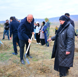 Ağstafada 8 Noyabr – Zəfər Gününün beşinci ildönümünə həsr olunmuş Zəfər yürüşü keçirilib