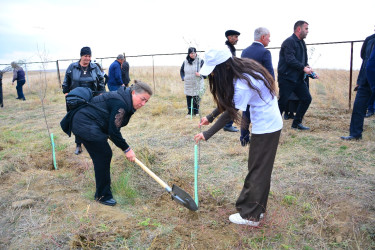 Ağstafada 8 Noyabr – Zəfər Gününün beşinci ildönümünə həsr olunmuş Zəfər yürüşü keçirilib