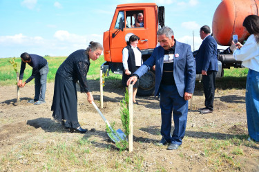 Ağstafada Anım Günü ilə əlaqədar şəhidlərimizin əziz xatirəsinə həsr olunmuş ağacəkmə aksiyası təşkil olunub