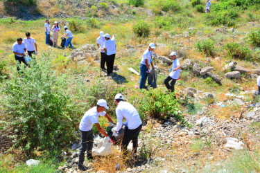 Ağstafada "Təmiz oyunlar"  beynəlxalq ekokönüllülülk layihəsi çəçrivəsində yarış keçirilib