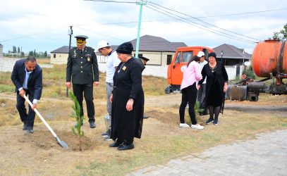 27 Sentyabr – Anım Günü ilə bağlı Ağstafada şəhidlərin xatirəsinə həsr olunmuş ağacəkmə aksiyası keçirilib